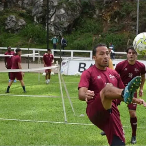 lesion-tin-herrera.jpg ,