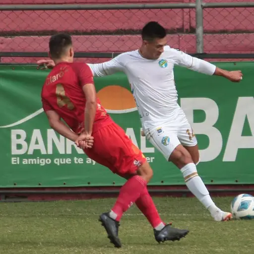 municipal-comunicaciones-1-4.jpg ,