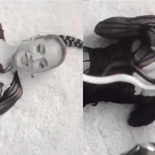 Maeta-serpiente-ataque-1.jpg ,