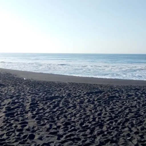 playasantarosabuscanmenordesaparecidofotoconred1-a4d7c5bce3bff0d6b261fe71339399f3.jpg ,