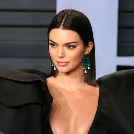 kendalljenner1-ecfb37895da301b2c16c1bfdd63c390c.jpg ,