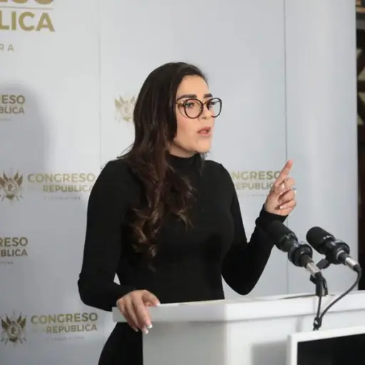 diputada-patricia-sandoval.jpg ,