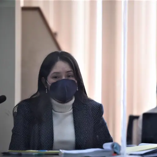 jueza-de-Mayor-Riesgo-D-Erika-Aifan-Foto-Edwin-Bercian-1.jpg ,