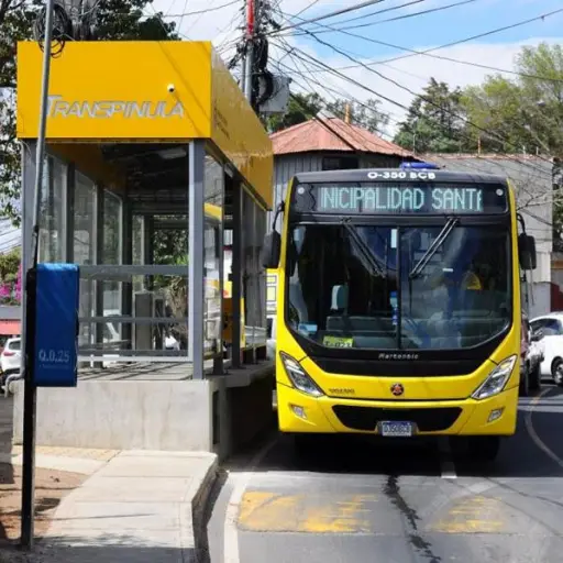 transpinula-servicio-transporte.jpg ,