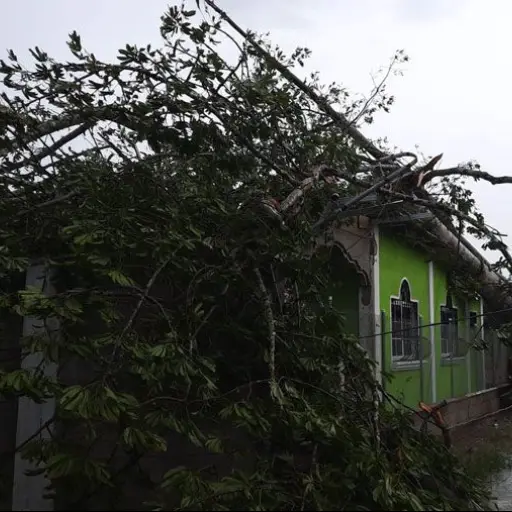 tornado-morales-izabal.jpg ,