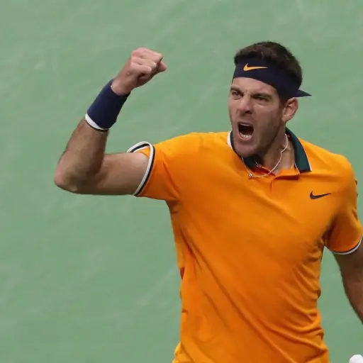 Juan-Martin-Del-Potro-2.jpg ,