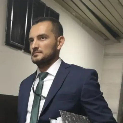 carlos-videz-navas.jpg ,