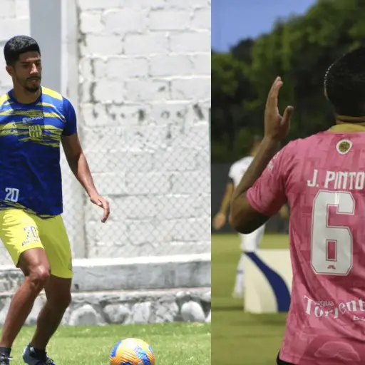 pinto-y-gordillo-ganan-en-sudamerica.png ,