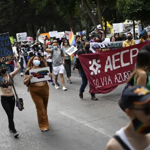 manifestacion-rechazo-ley-provida-y-familia-2-1.jpg ,