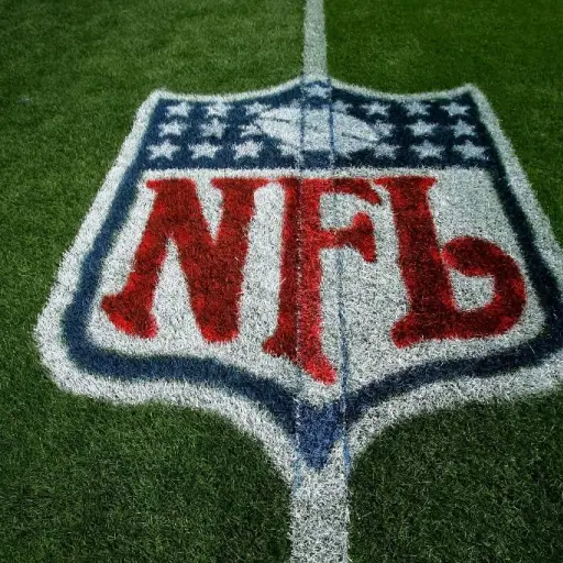 temporada2020nfl-e5d08914d014b3b95b02b903ea138f08.jpg ,