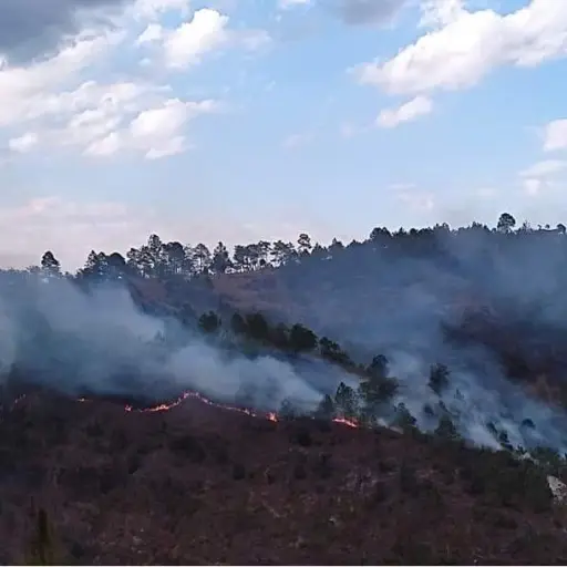 incendio-forestal-totonicapan.jpg ,