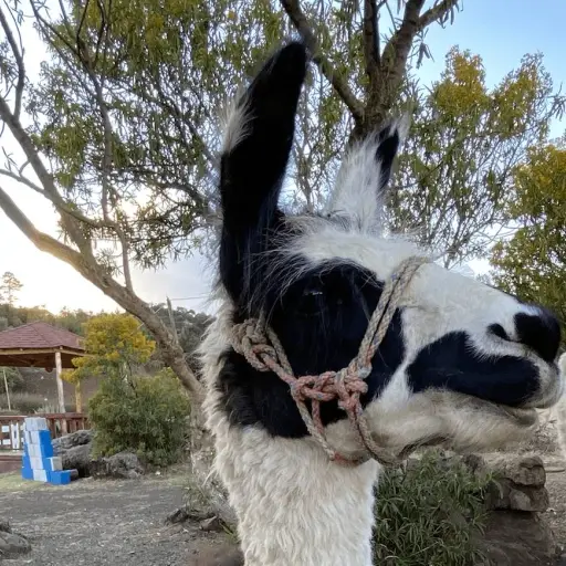 sitios-turisticos-huehuetenango-guatemala-publinews-10.png ,