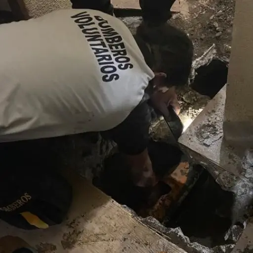 rescate-de-perrito-zona-25-fotos-bomberos-voluntarios-portada.jpg ,