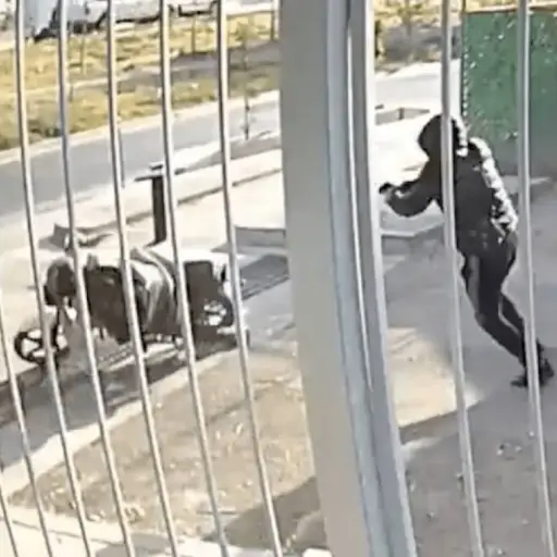 sicario-motorista.png ,