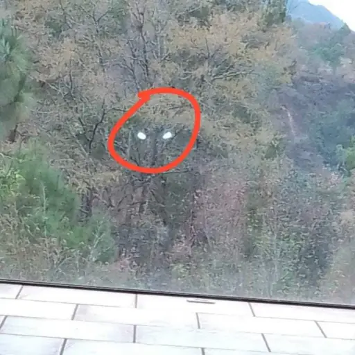 jairo-flores-dron.jpg ,