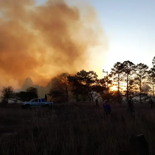 incendios-forestales-foto-conred-2.jpg ,