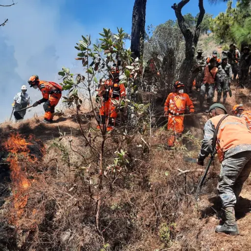 incendios-forestales-foto-conred.jpg ,
