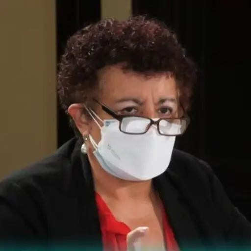 Ministra-de-Salud-Amelia-Flores-confirma-ampliacion-de-hospitales-por-covid-19.jpg ,