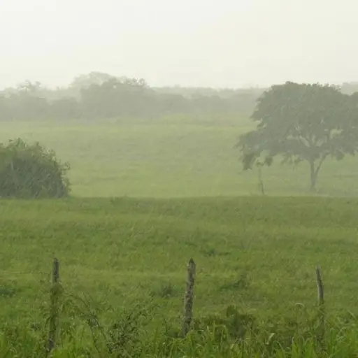 lluvias-afectan-sector-agricola.jpg ,