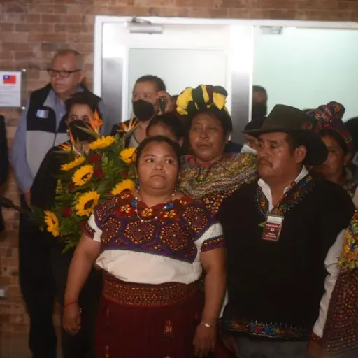 juana-alonzo-declaraciones.jpg ,