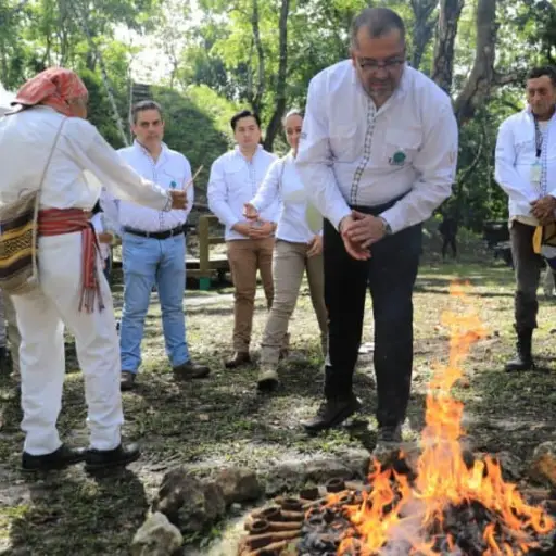 Empieza-investigacion-y-exploracion-del-parque-arqueologico-Tayasal.jpg ,
