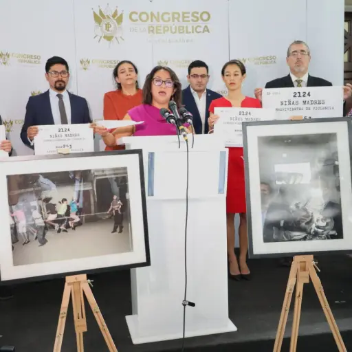 diputada-presenta-propuesta-de-ley-angelina-contra-agresores-sexuales-o-violacion.jpg ,