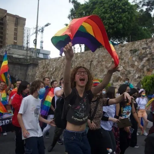 Desfile-de-la-Diversidad-Sexual-e-Identidad-Sexual-8.jpg ,