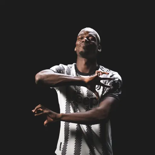 pogba-juventus.jpg ,