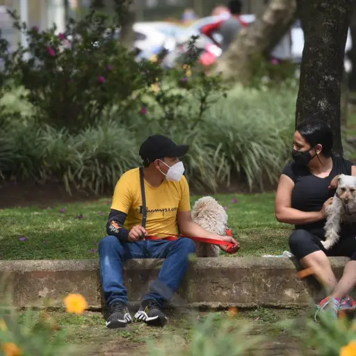 pasos-pedales-habilitado-mayo-2021-7.jpg ,