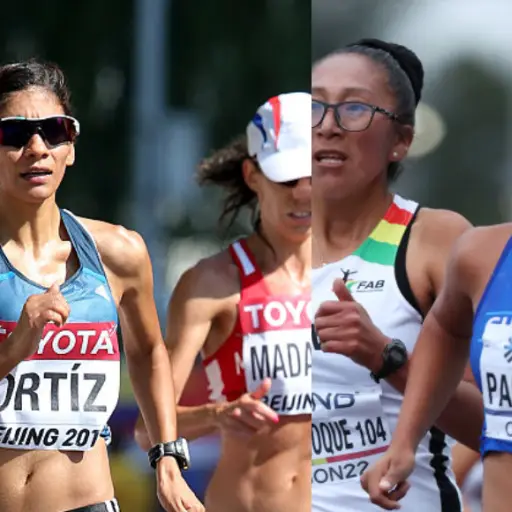 ortiz-palacios-publi.jpg ,