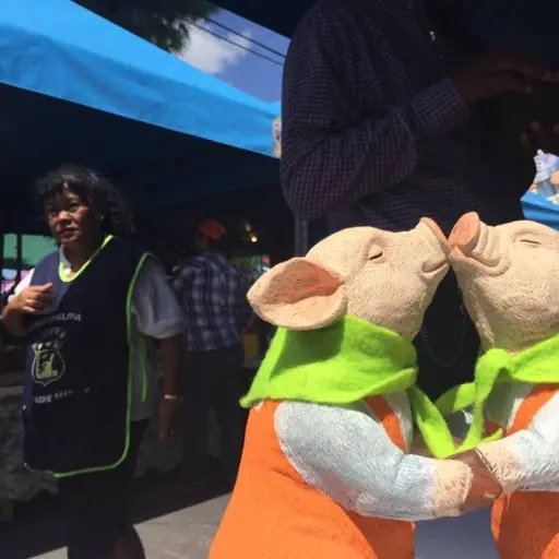 feriadelchicharron-577ad5fb381d09e1a46bd6bd10bd71ea.jpg ,