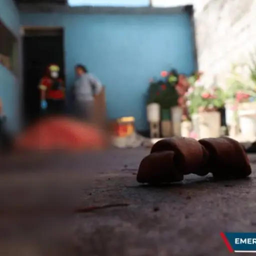 pitbull-ataque-mujer-capturan-propietaria.png ,