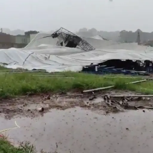 carpa-circo-desploma-villa-nueva.jpg ,