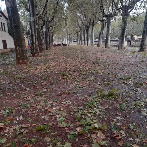 nina-muere-golpeada-granizo-tormenta-espana-publinews.jpeg ,