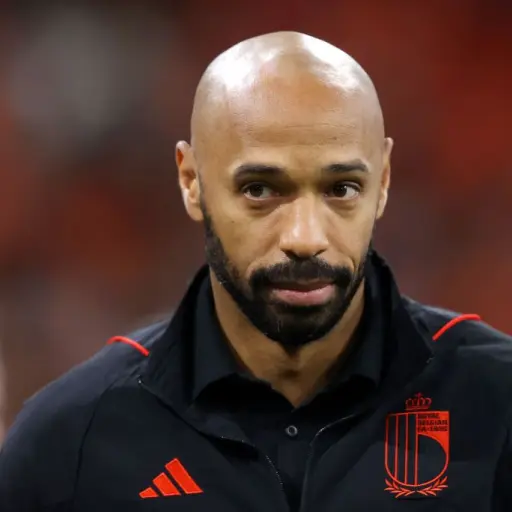 thierry-henry-critica-var-2.jpg ,