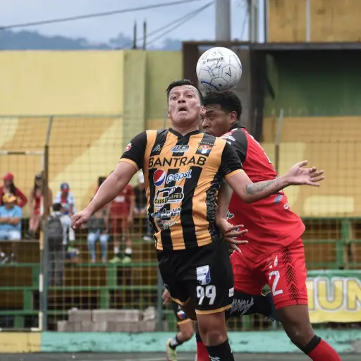 clasificados-cuartos-de-final-torneo-apertura-primera-division-publinews-.png ,