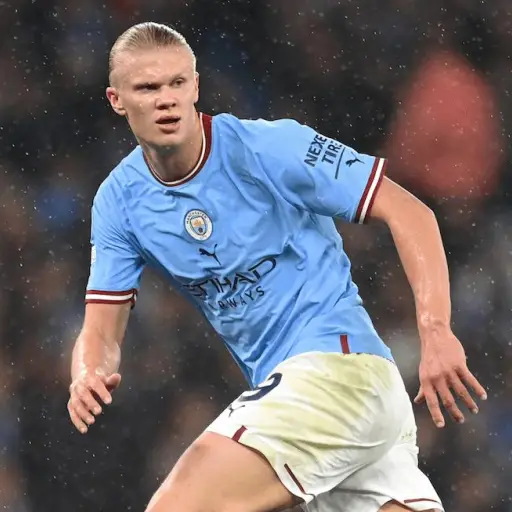 erling-haaland-publinews-.png ,