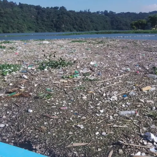 extraccion-residuos-solidos-y-basura-del-lago-de-amatitlan-octubre-2022-foto-amsa-5.jpg ,