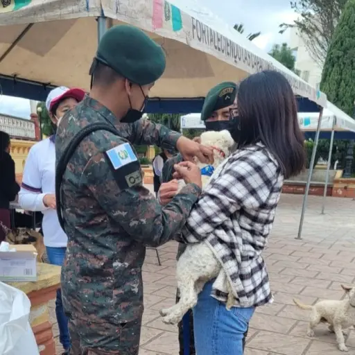 vacunacion-perros-guatemala-1.jpg ,