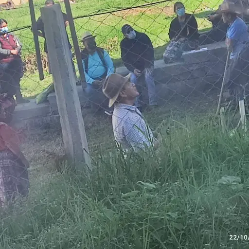 toman-bodega-indeca-solola-2.jpg ,