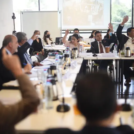 contralorcomision.jpg ,