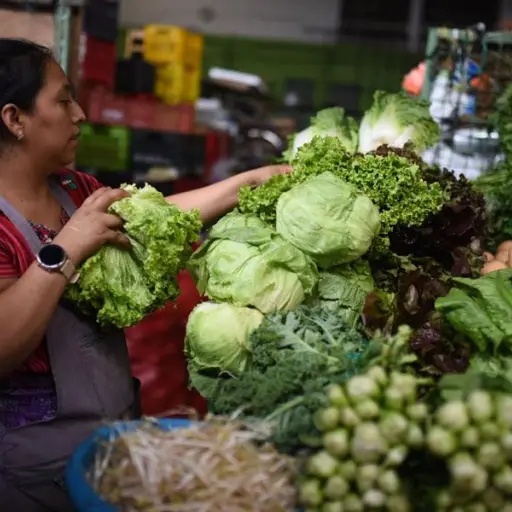 verduras-para-fiambre-1.jpg ,