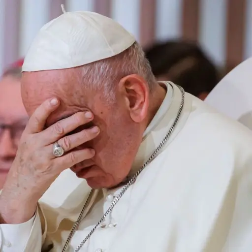 papa-francisco-contra-eutanasia-francia-publinews-2.jpg ,