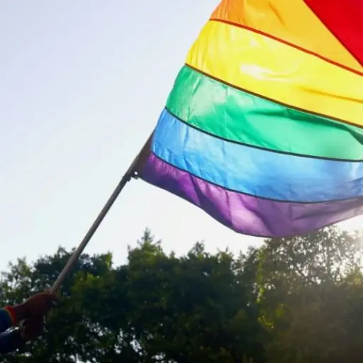 Taiwan-celebra-su-primera-marcha-del-Orgullo-LGTBQ-en-dos-anos.jpg ,