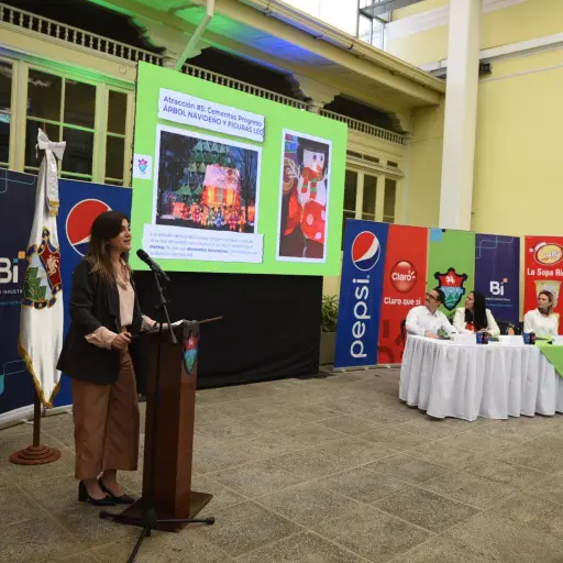 Festival-Navideno-paseo-de-la-sexta-Noviembre-20022.jpg ,