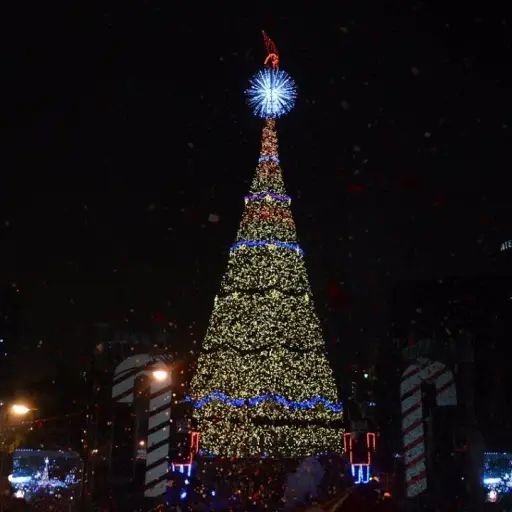 arbol-gallo-publinews.jpg ,