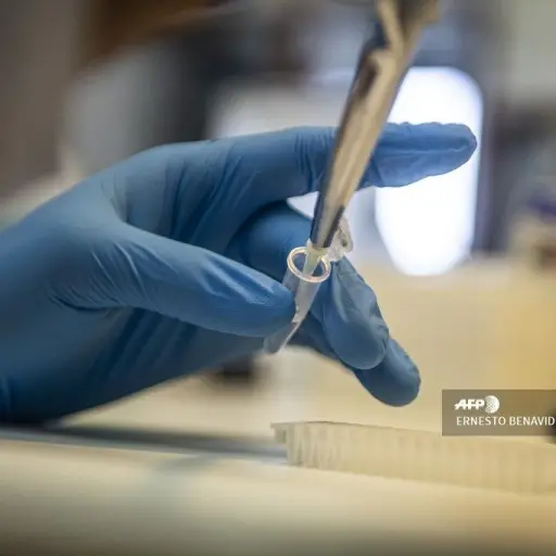 laboratorios-sanofi-gsk-prueban-seres-humanos-vacuna-covid-19-publinews.jpg ,