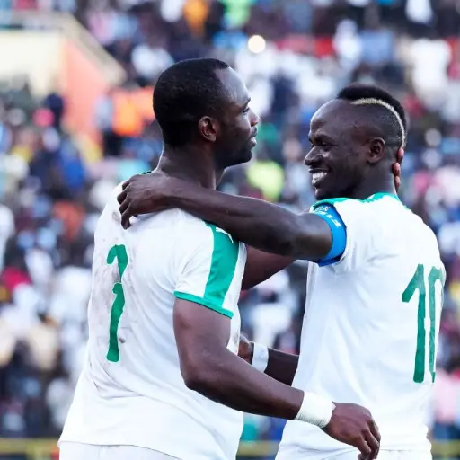 senegal-copa-del-mundo.jpg ,