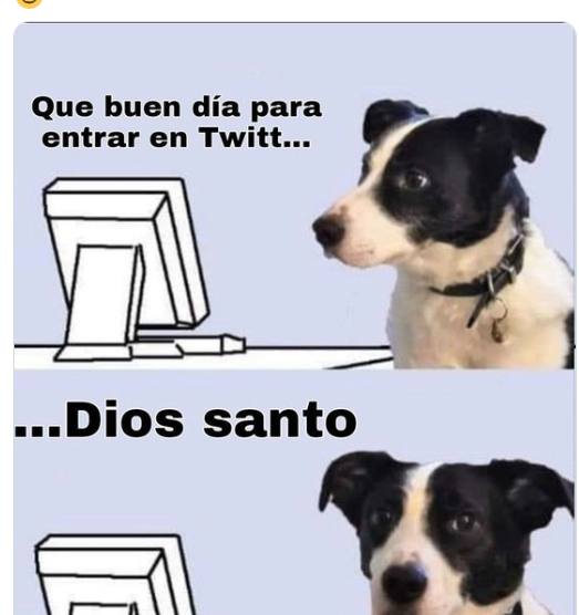 Foto embed