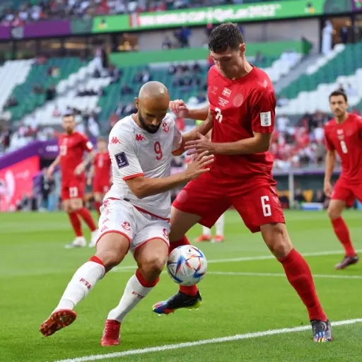 Dinamarca-vs-Tunez-1.jpg ,